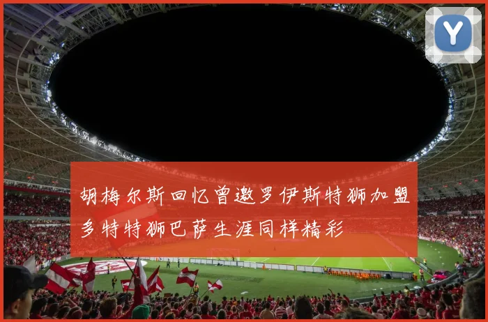 胡梅尔斯回忆曾邀罗伊斯特狮加盟多特特狮巴萨生涯同样精彩